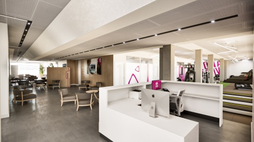 Diseño clínica fisioterapia